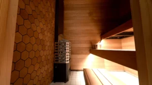 Elektrikeris Saunum Experience 4,5-6kW