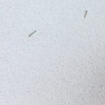 Kaljujoonistega ahjukompleks