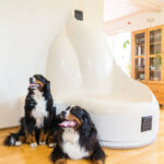 Keskkonnasäästliku koldega disainahi