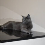 Mitut ruumi läbiv ahi Valgamaal