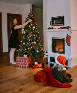 Ahja moodulahi Mats küpsetusahjuga