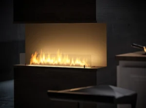 Biokamin InFire Inside C1000V2