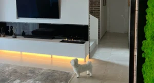 Automaatne biopõleti Gloss Fire Dalex