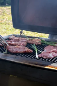 Välikamin-grill Ember Hestia 600